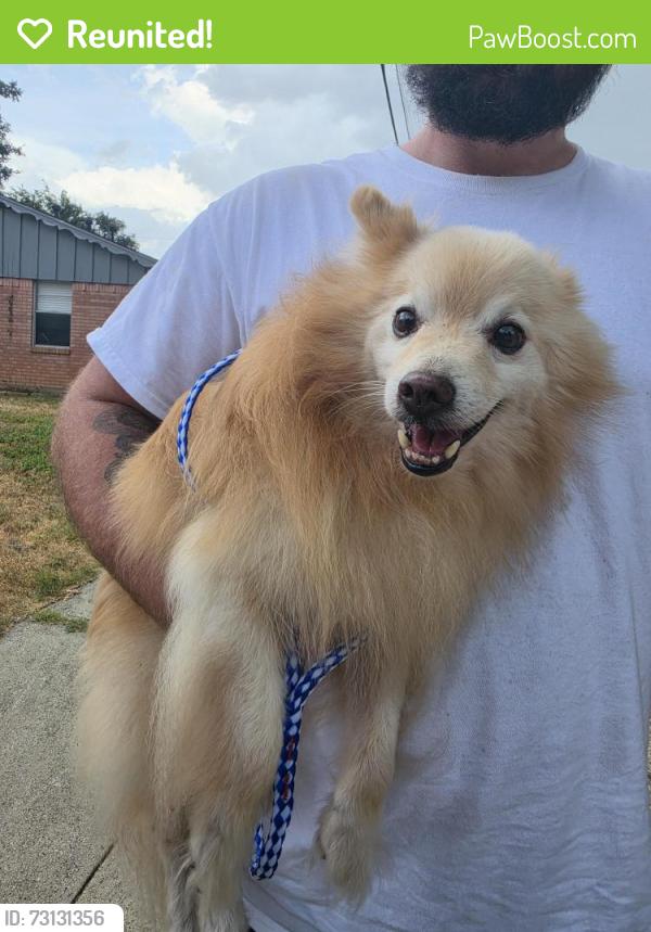 Reunited Unknown Dog last seen Monterrey, Bedford, TX 76022