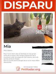 Reunited Female Cat last seen Lasale, Montréal, QC 