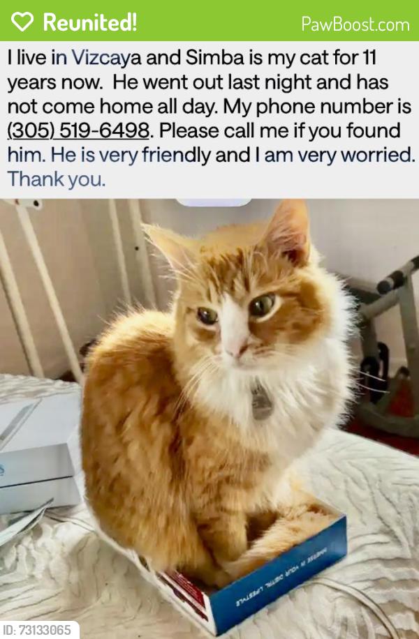 Reunited Male Cat last seen SW 152 Ave and 104 St. the Hammocks, Miami, FL 33196