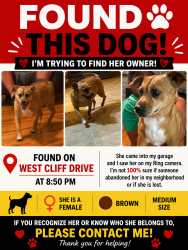 Reunited Female Dog last seen West Cliff dr, Knoxville, TN 37909