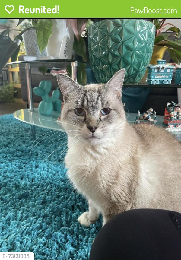 Reunited Male Cat last seen Woodworth ave, Modesto, CA 95351