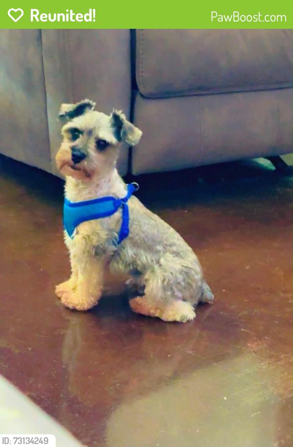 Reunited Male Dog last seen Near Heathers Reef, Converse, TX 78152, USA, Converse, TX 78152