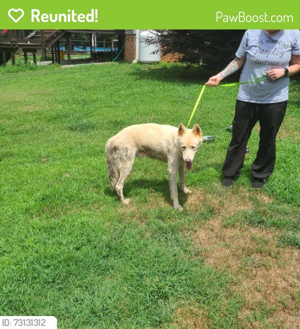 Reunited Male Dog last seen Holly Springs and Ballenger, Inman, SC 29349