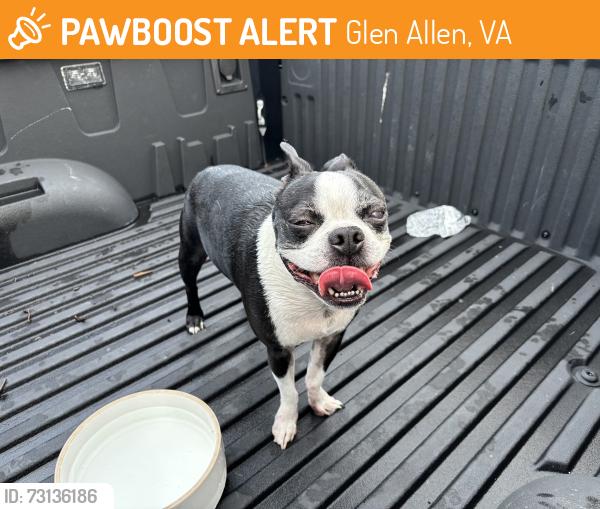 Found/Stray Unknown Dog last seen brook rd, telegraph rd, new york ave., Glen Allen, VA 23060