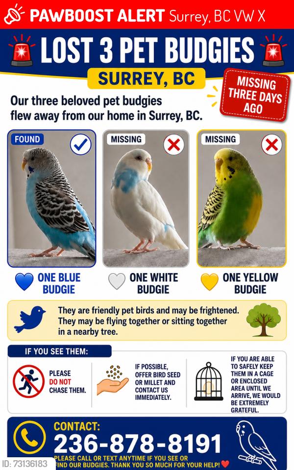 Lost Unknown Bird last seen 143A, Surrey, BC V3W 0X5