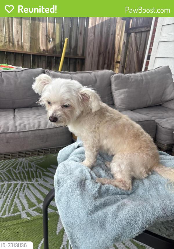 Reunited Female Dog last seen Baldwin Elm St and Dahlia Brook Way, Fort Bend County, TX 77407
