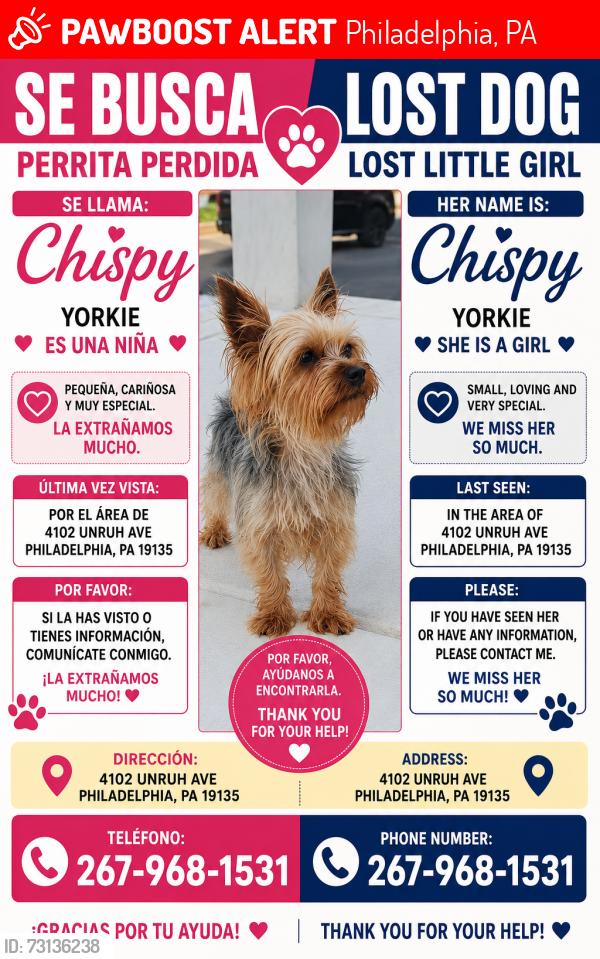 Lost Female Dog last seen Charles Unruh ave pa 19135, Philadelphia, PA 19135