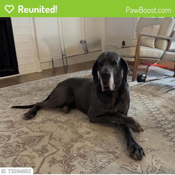 Reunited Male Dog last seen Edgemont Rd and Riley Hill Rd, Wendell, NC 27591