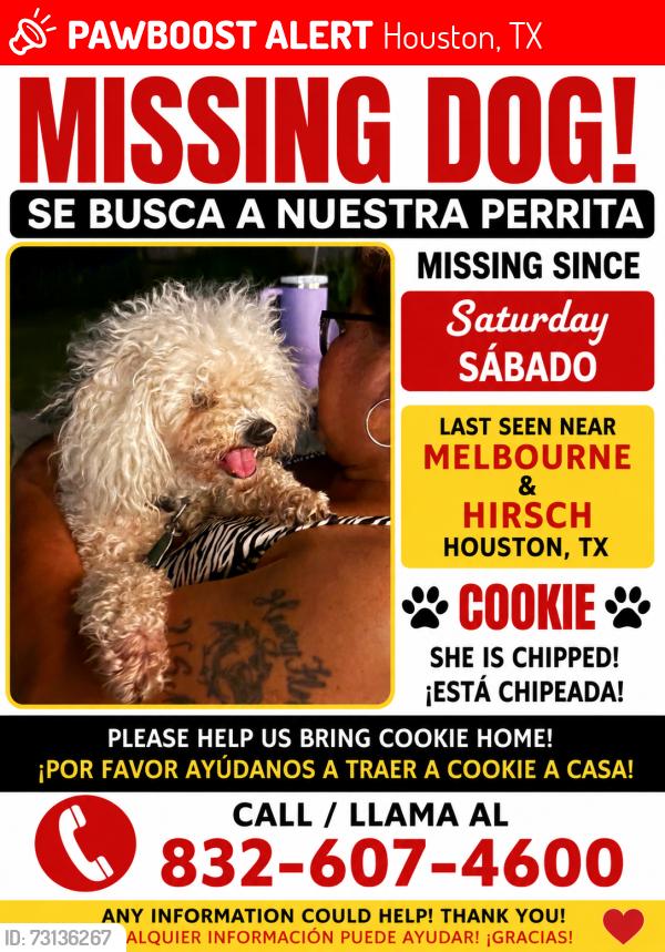 Lost Female Dog last seen Hirsch & Melbourne, Houston, TX 77026