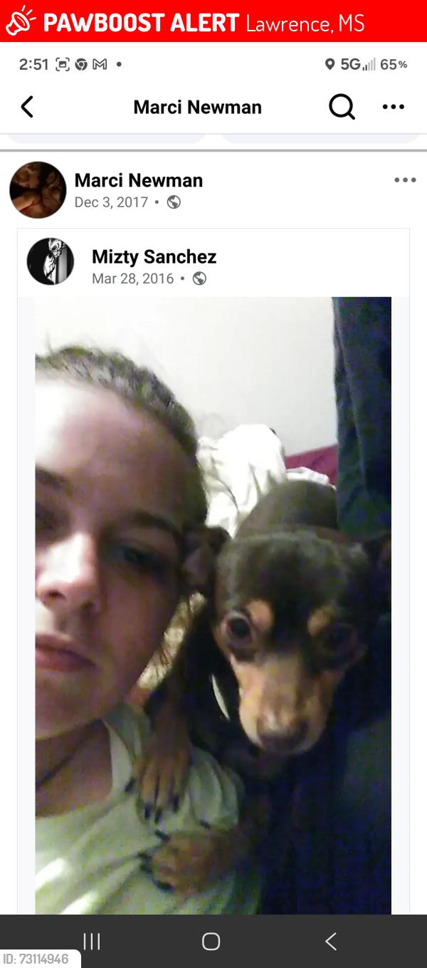 Lost Female Dog last seen Near hwy 80 lawrence Mississippi, Lawrence, MS 39336
