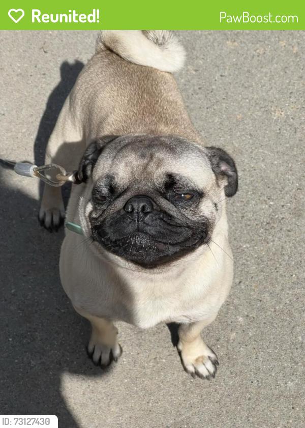 Reunited Male Dog last seen Highly street, Oakland, CA 94619