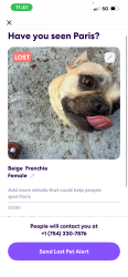 Lost Female Dog last seen Chateau park area, Fort Lauderdale, FL 33311