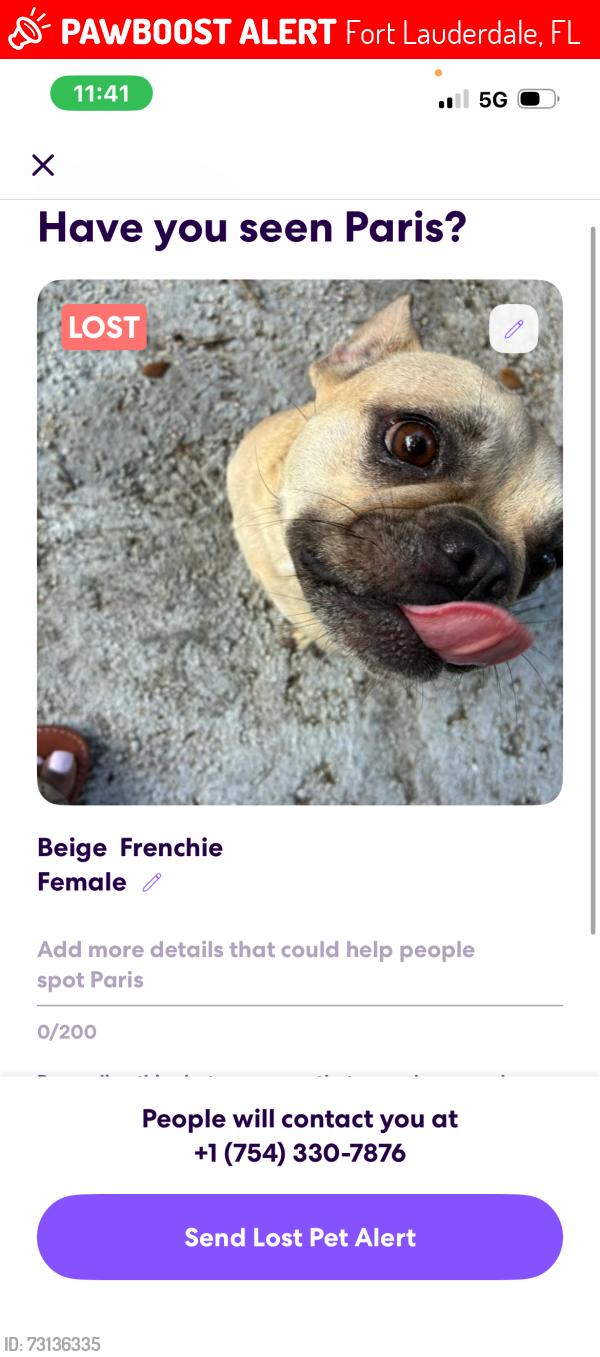 Lost Female Dog last seen Chateau park area, Fort Lauderdale, FL 33311