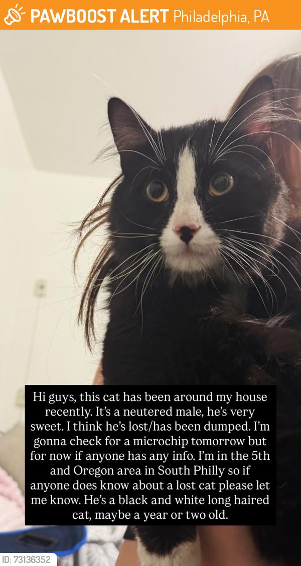 Found/Stray Male Cat last seen 5th and Oregon near TD Bann, Philadelphia, PA 19148
