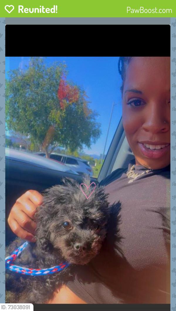 Reunited Female Dog last seen Cheyenne villas apmts (Cheyenne/Simmons), North Las Vegas, NV 89032