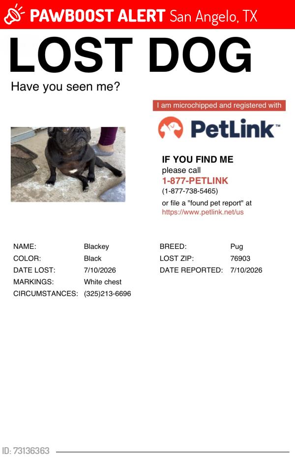 Lost Male Dog last seen Avenue L, San Angelo, TX 76903