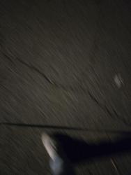 Found/Stray Unknown Cat last seen Monitor pl, rio grande, Olney, MD 20832