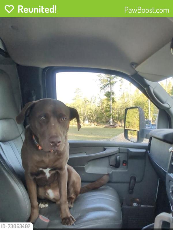 Reunited Male Dog last seen Off McBryde between Lane and Carlos, Linden, NC 28356