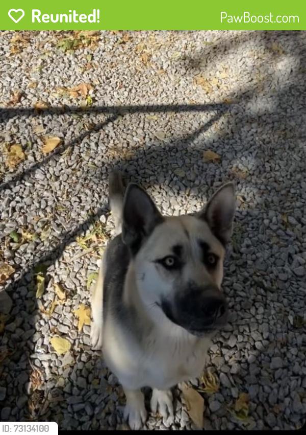 Reunited Female Dog last seen 18th and Central, Kansas City, KS 66102