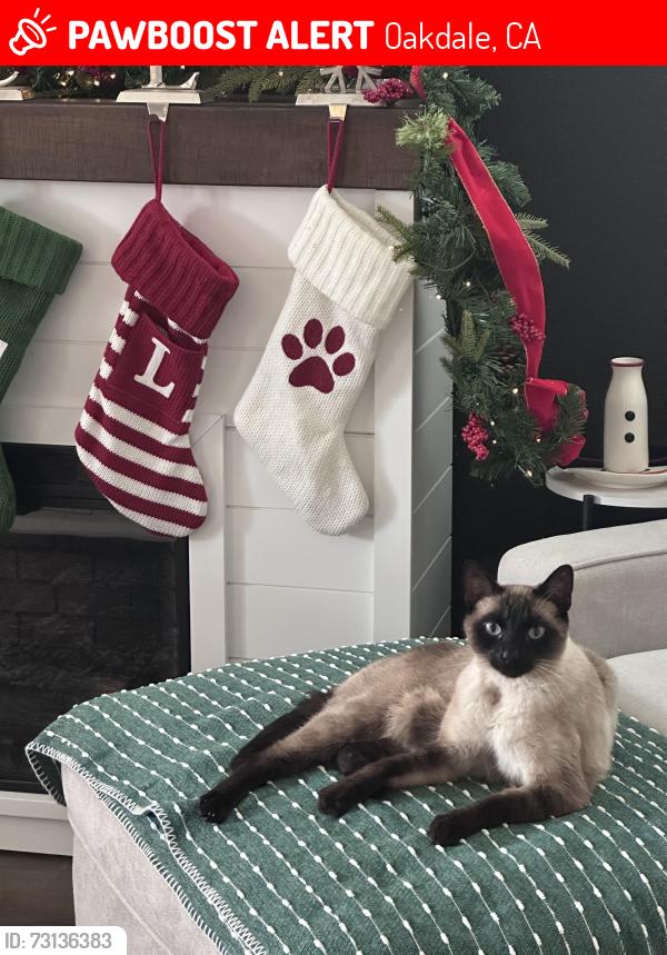 Lost Male Cat last seen Greger and Crane, Oakdale, CA 95361