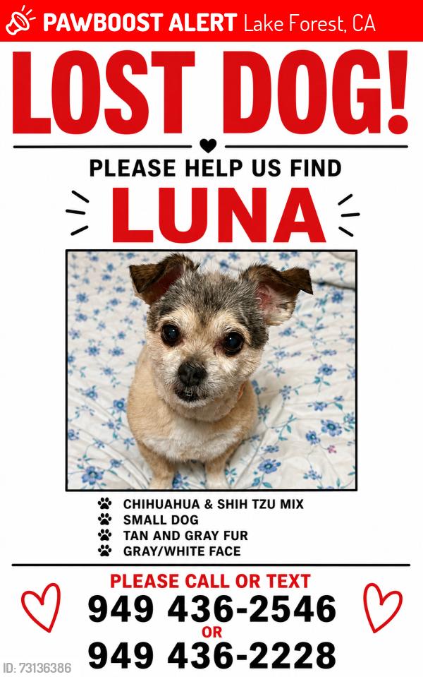 Lost Female Dog last seen Neighborhood by the creek across from Serrano intermediate school, Lake Forest, CA 92630