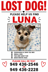 Lost Female Dog last seen Neighborhood by the creek across from Serrano intermediate school, Lake Forest, CA 92630