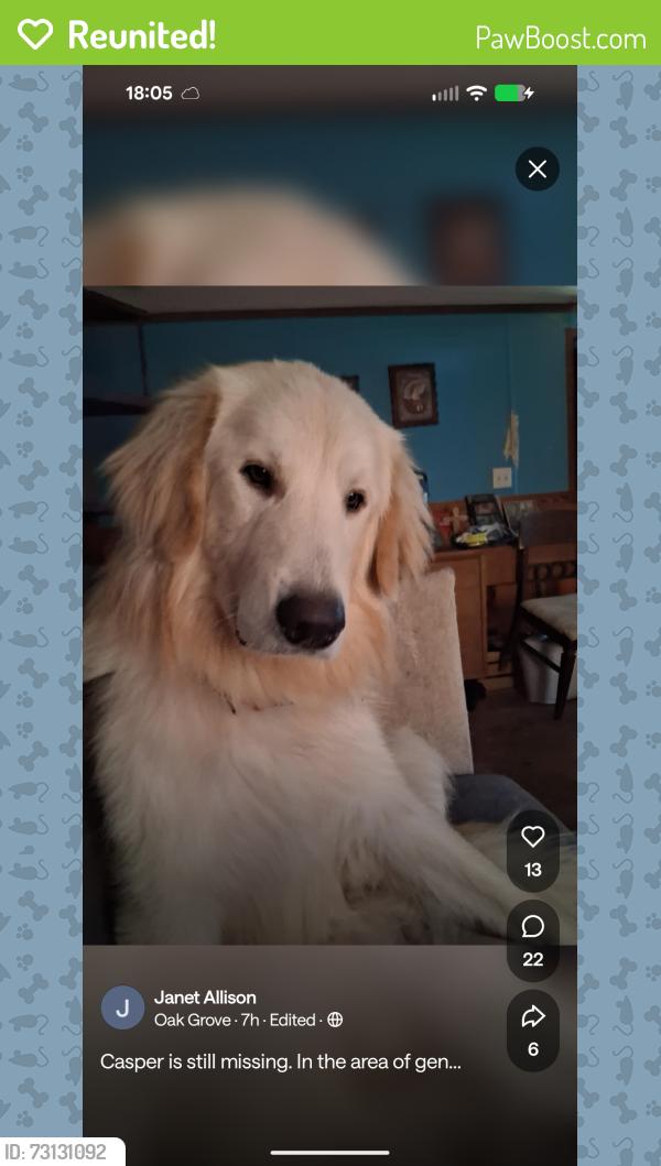 Reunited Male Dog last seen Shaeffer street, East Flat Rock, NC 28726
