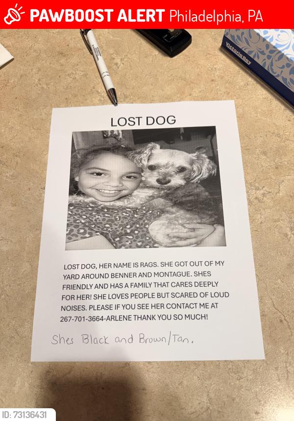 Lost Female Dog last seen Benner and montague streets, Philadelphia, PA 19135
