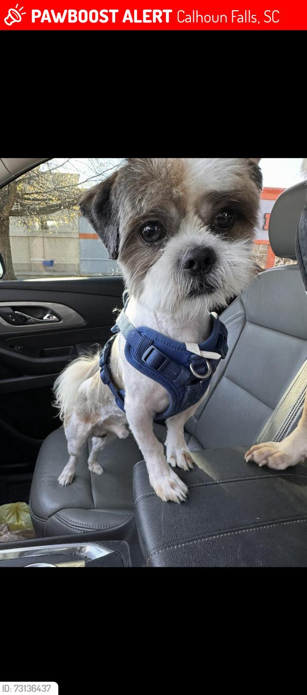 Lost Male Dog last seen Calhoun falls SC, Calhoun Falls, SC 29628