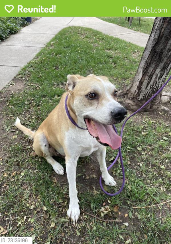 Reunited Male Dog last seen Lee Hill Dr & 10th, Boulder, CO 80304