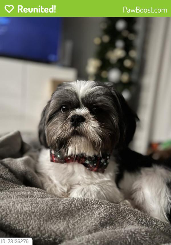 Reunited Male Dog last seen Rockmoor Court in Sugar Creek, Sugar Land, TX 77478