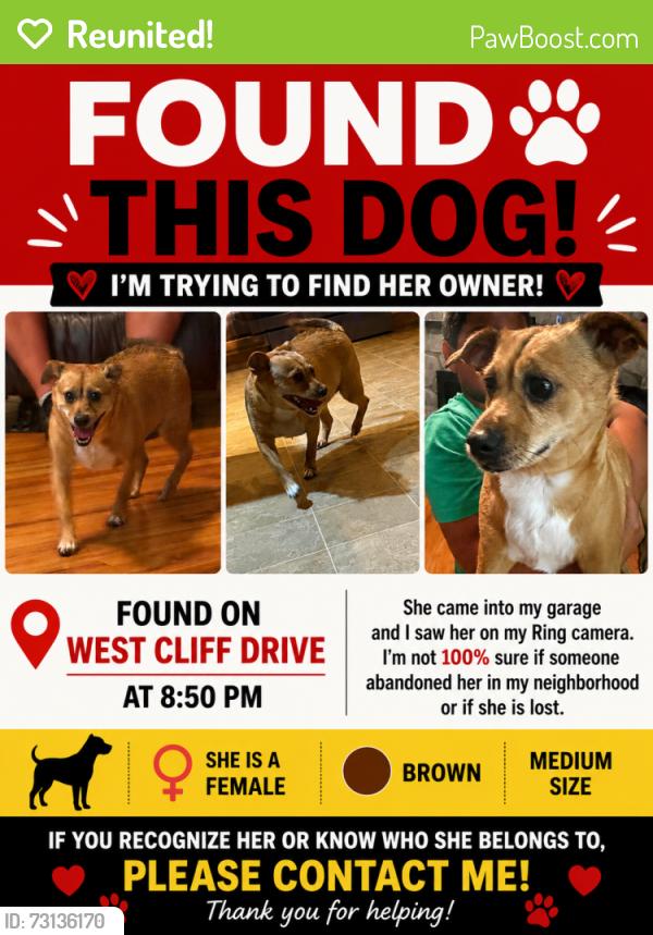 Reunited Female Dog last seen West Cliff dr, Knoxville, TN 37909
