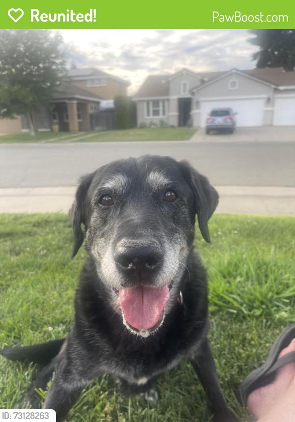 Reunited Male Dog last seen Aspen meadows & costa way, Lincoln, CA 95648