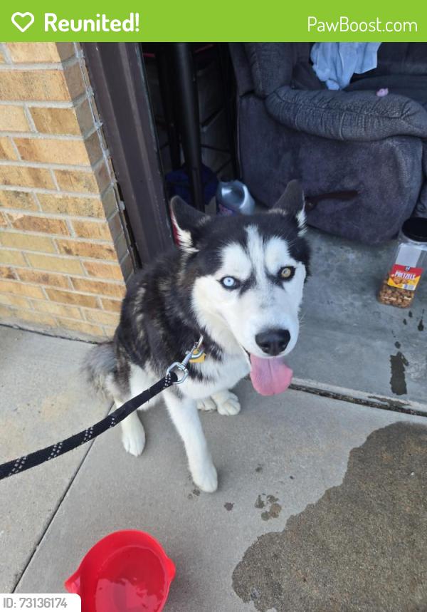 Reunited Male Dog last seen Smoky Hill and Tower, Centennial, CO 80015