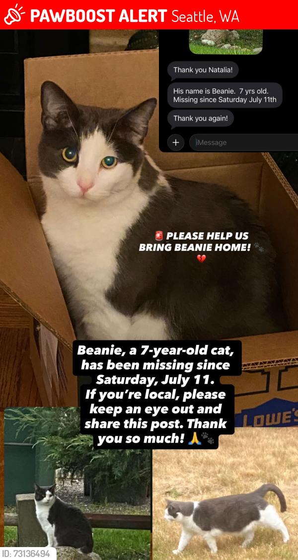 Lost Male Cat last seen Near N 135th Pl, Seattle, Seattle, WA 98133
