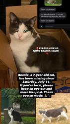 Lost Male Cat last seen Near N 135th Pl, Seattle, Seattle, WA 98133