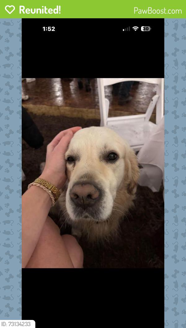 Reunited Male Dog last seen Near Raven Hill Rd, Oakhurst, TX 77359, USA, Oakhurst, TX 77359