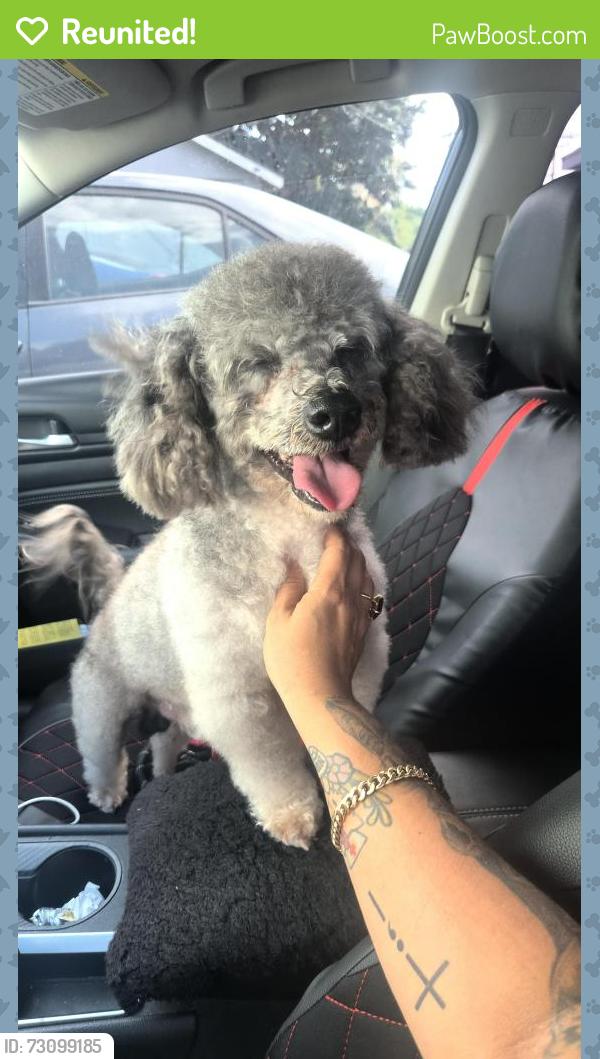 Reunited Male Dog last seen Walker ave, Bell, CA 90201