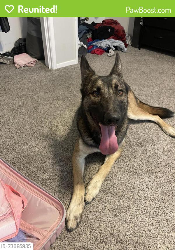 Reunited Male Dog last seen Neighborhood, Hemet, CA 92543