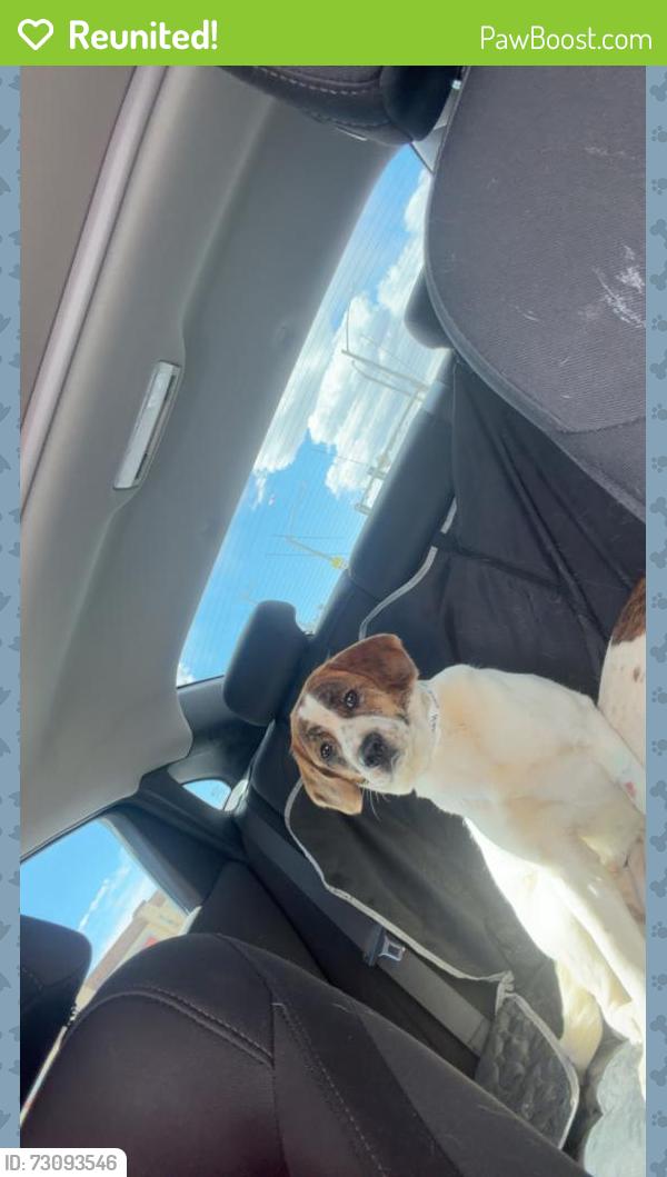 Reunited Female Dog last seen In the open area by the pond, Thornton, CO 80602