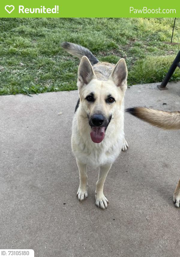 Reunited Female Dog last seen Greens Prairie, College Station, TX 77845