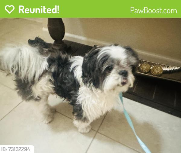 Reunited Male Dog last seen Ridgeline & Marshall Canyon, Dublin, CA 94568