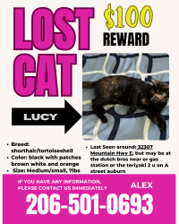 Lost Female Cat last seen Near Mountain Hwy E, Eatonville, WA 98328