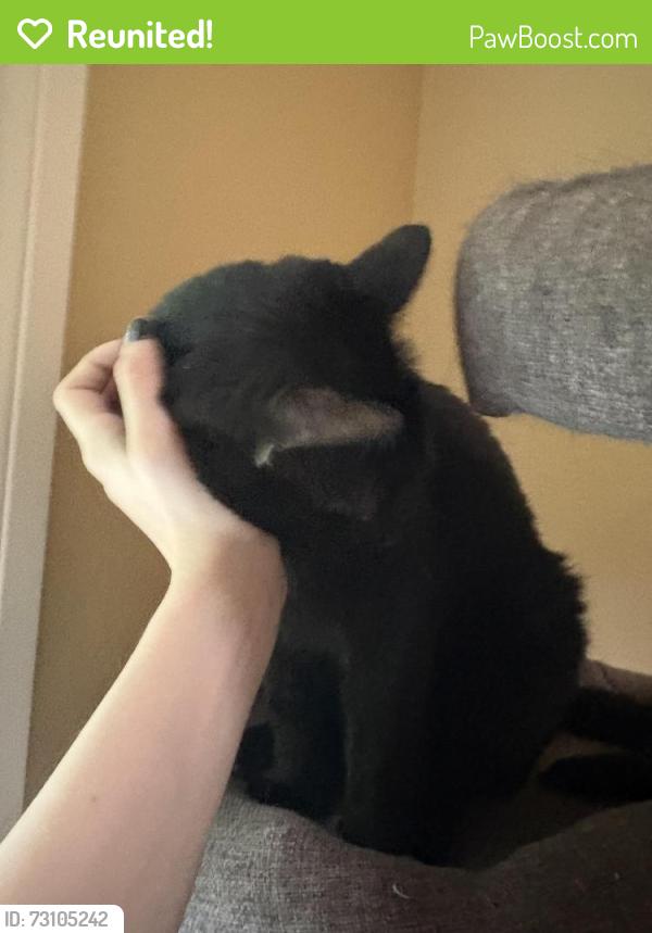 Reunited Male Cat last seen jenks middle school, Tulsa, OK 74137