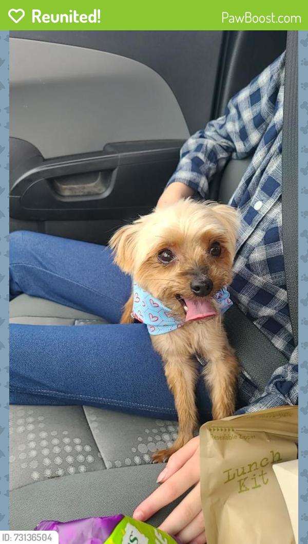 Reunited Female Dog last seen Near 20th Ave SE, Rio Rancho, NM 87124, USA, Rio Rancho, NM 87124