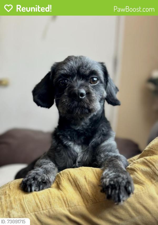 Reunited Male Dog last seen Near, El Paso, TX 79905
