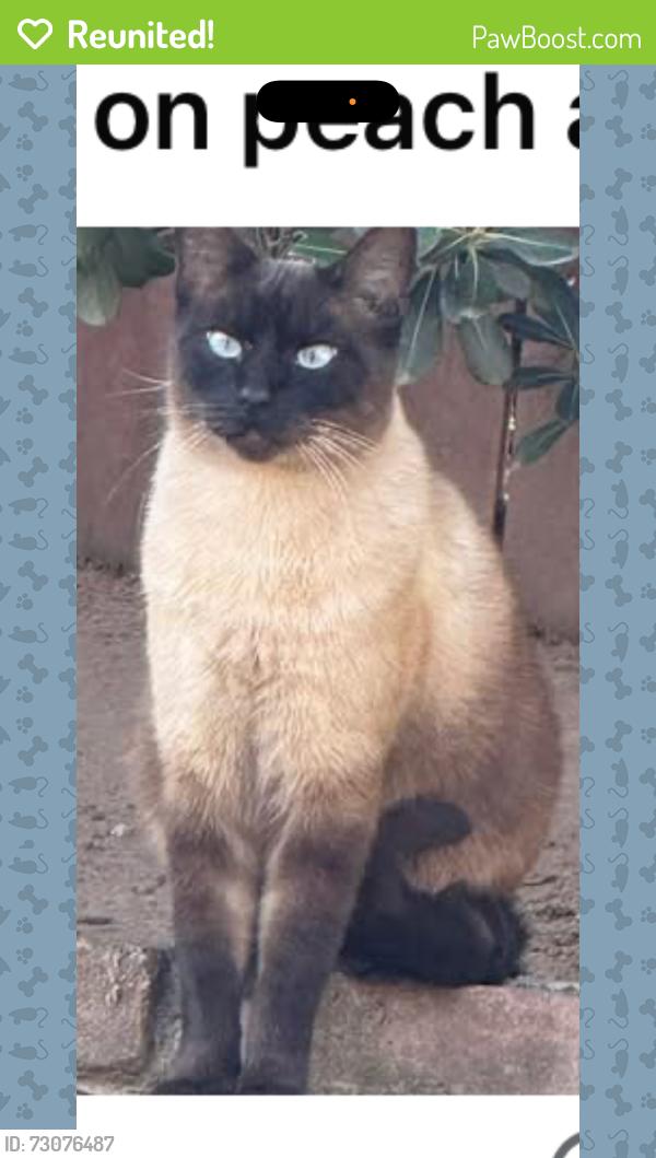 Reunited Male Cat last seen Peach and nees near Buchanan, Clovis, CA 93611