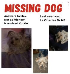 Lost Male Dog last seen Chelwood park, Albuquerque, NM 87111
