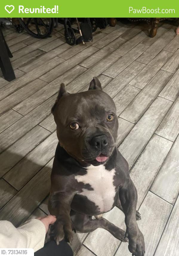 Reunited Male Dog last seen Montgomery Waller Community Park, San Diego, CA 92154