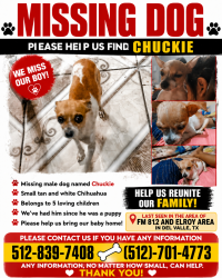 Lost Male Dog last seen Near Elroy Rd, Del Valle, TX 78617